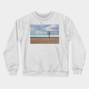 A tree by the lake. Crewneck Sweatshirt